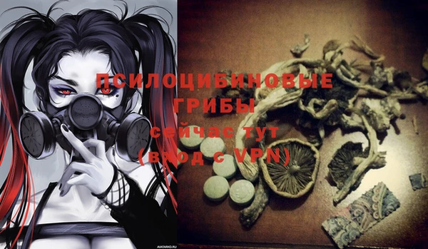 молекула духа Бронницы
