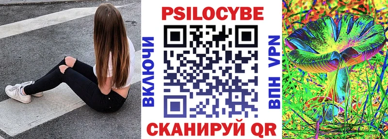 Купить закладки  Малмыж  Галлюциногенные грибы Psilocybine cubensis 