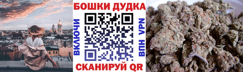 Купить где  Малмыж  Каннабис план 